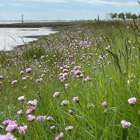 Klaas Am Nordseedeich Lägenhet Butjadingen