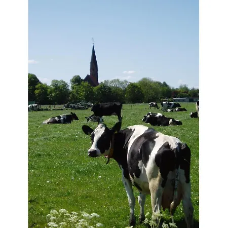 Klaas Am Nordseedeich Butjadingen