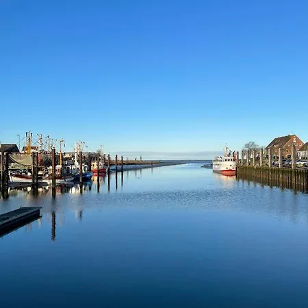 Klaas Am Nordseedeich *
