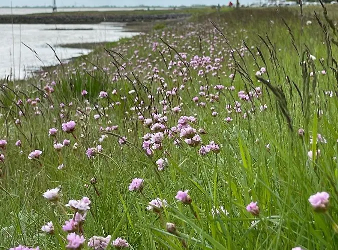 Klaas Am Nordseedeich شقة بوتجادينغين