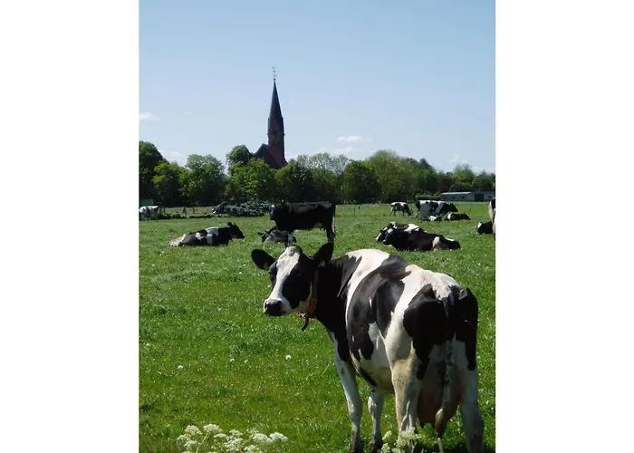 Klaas Am Nordseedeich 布特亚丁根
